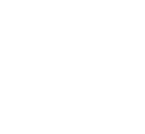 Boddhi Tree Foundation