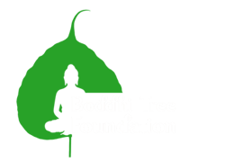 Boddhi Tree Foundation